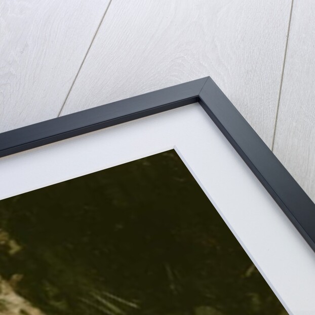 General Wayne Endeavoring to Quell the Mutiny of the Pennsylvania Regiments at Morristown, N.J. 1781 by Howard Pyle