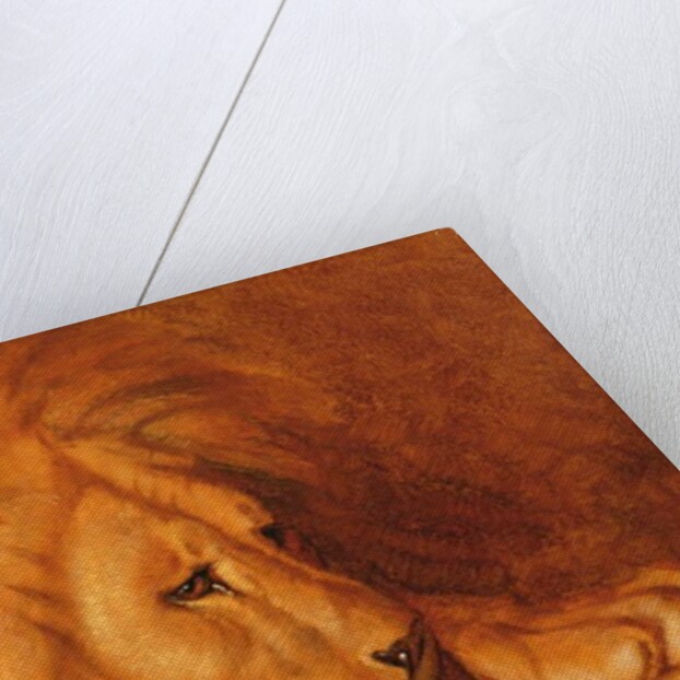 Lion at Rest by Abbott Handerson Thayer