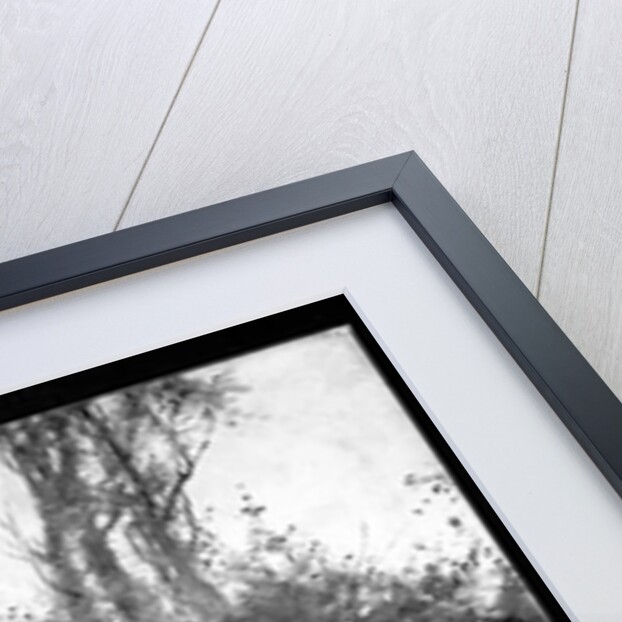 Turpin and King by Howard Pyle