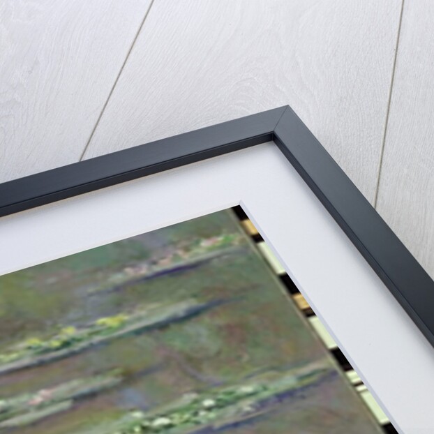 Waterlilies, 1903 by Claude Monet