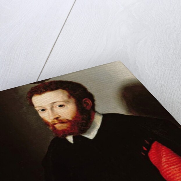 Portrait of a Man Holding a Letter, c.1530-40 by Francesco de Rossi Salviati Cecchino