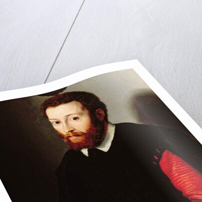 Portrait of a Man Holding a Letter, c.1530-40 by Francesco de Rossi Salviati Cecchino