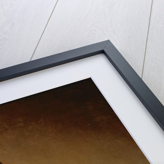 Portrait of Dammas Guldewagen, c.1657 by Jan de Bray