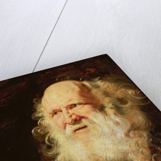 Study of Heads of an Old Man, c.1612 by Peter Paul Rubens