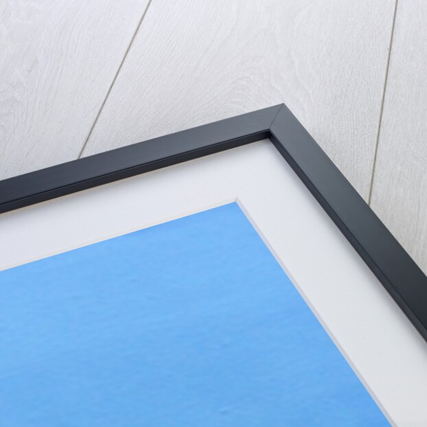 Lamb's Finish by Dominic Berry