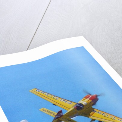 Lamb's Finish by Dominic Berry