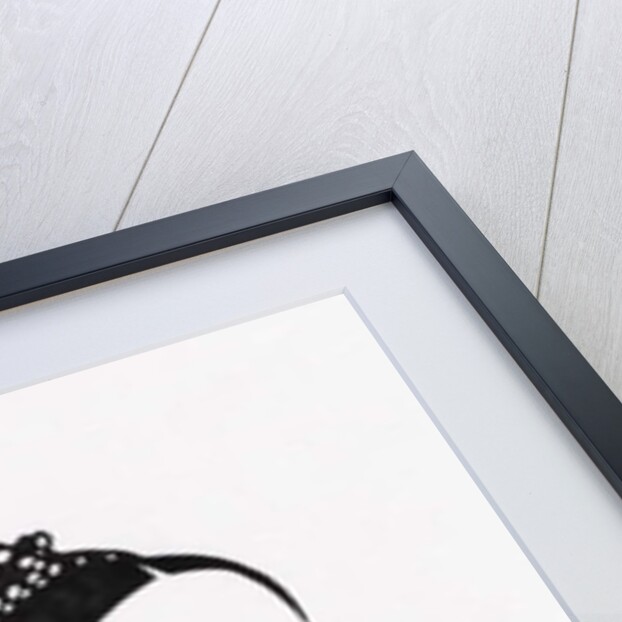 Mary Queen of Scots, 2017 by Daisy de Villeneuve