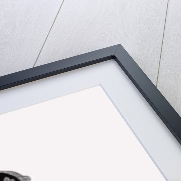 Queen Victoria, 2017 by Daisy de Villeneuve