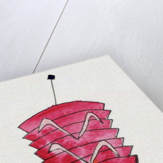 Chinese Lantern, 2107 by Daisy de Villeneuve