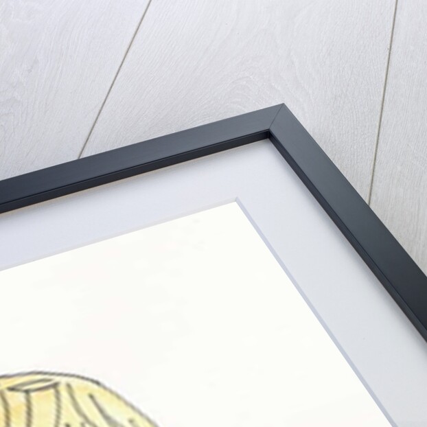 Lady Diana, 2017 by Daisy de Villeneuve