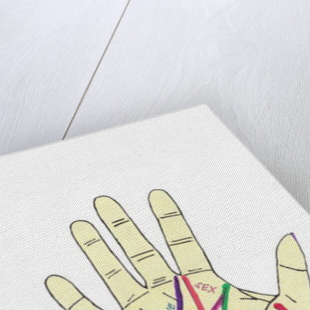 Palm Hand by Daisy de Villeneuve