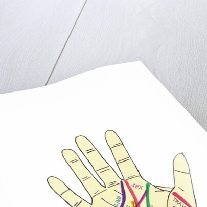 Palm Hand by Daisy de Villeneuve