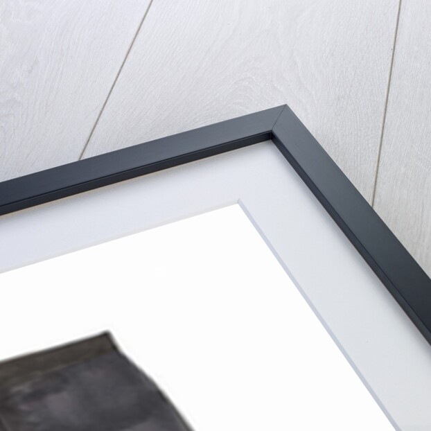 Capri Pants by Daisy de Villeneuve