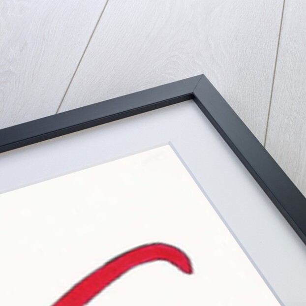 Red Sunglasses by Daisy de Villeneuve