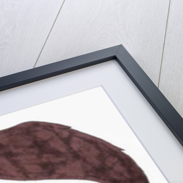 Guy by Daisy de Villeneuve