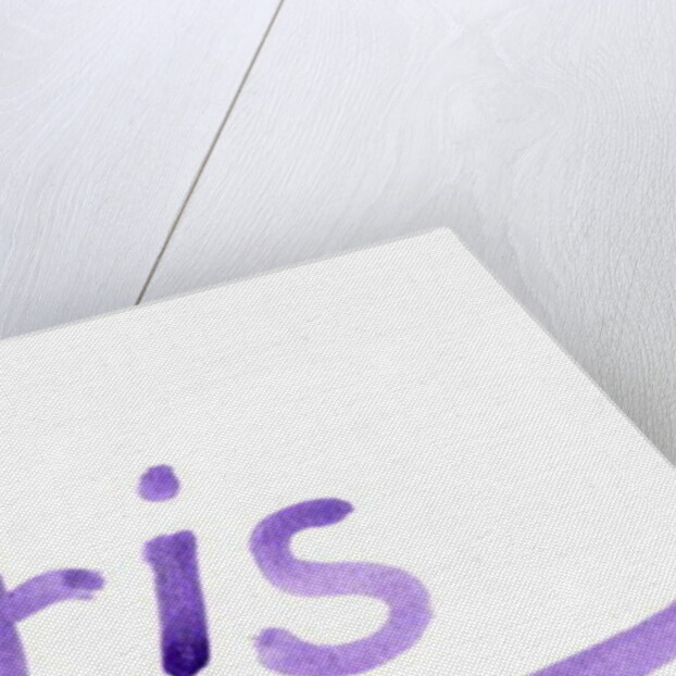 Paris by Daisy de Villeneuve