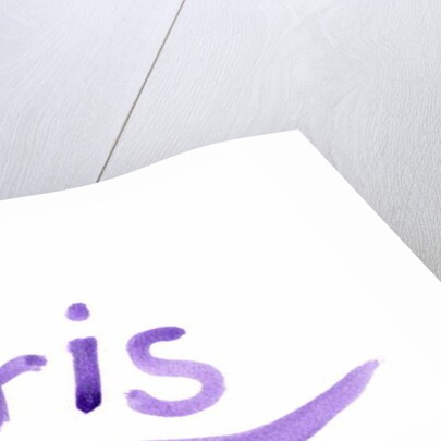 Paris by Daisy de Villeneuve