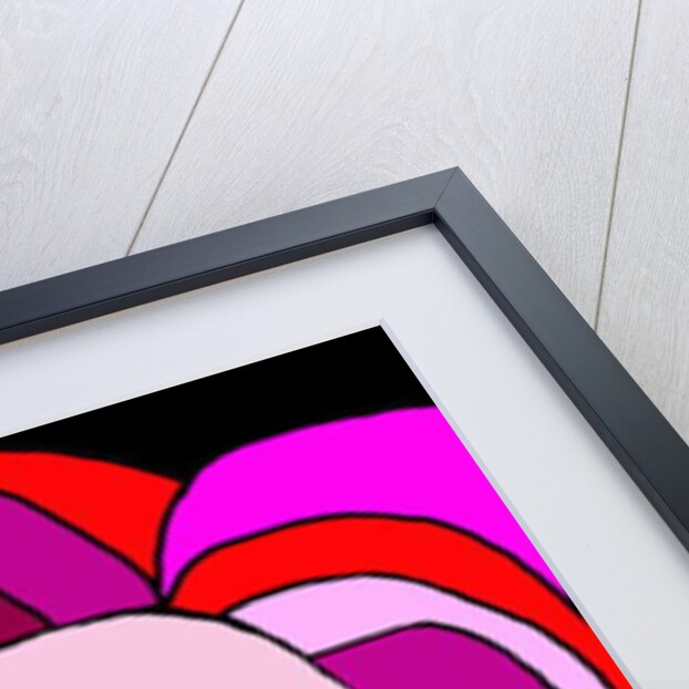 Pink Lady by Daisy de Villeneuve