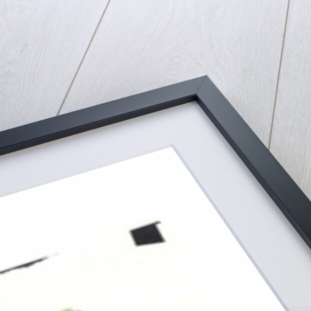 2 Shoes by Daisy de Villeneuve