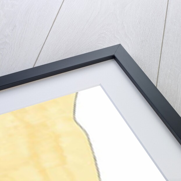 Love Hate by Daisy de Villeneuve