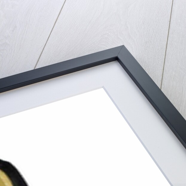 Sun Tan Lotion by Daisy de Villeneuve