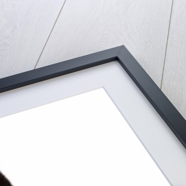 Pink Lips by Daisy de Villeneuve