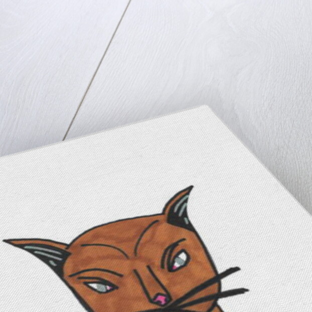 Cat Face by Daisy de Villeneuve
