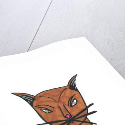 Cat Face by Daisy de Villeneuve