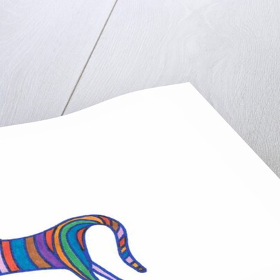 Rainbow Cat by Daisy de Villeneuve