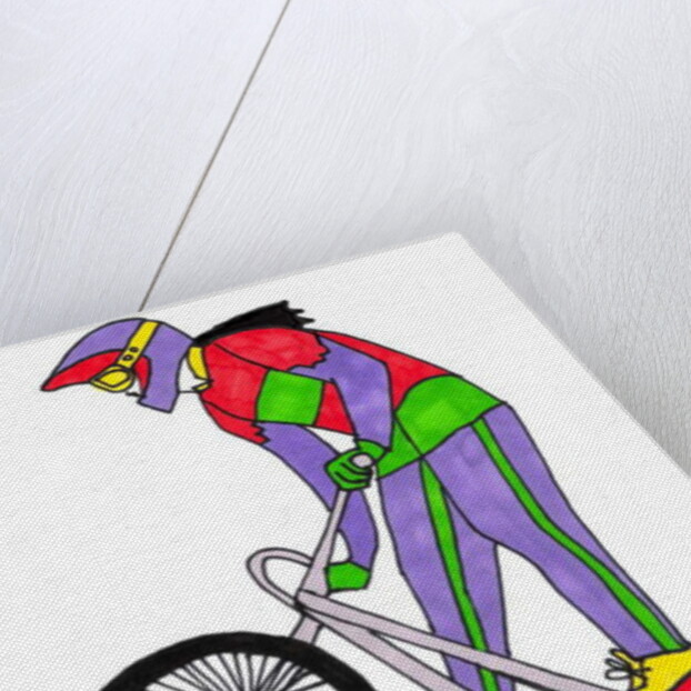 BMX, 2012 by Daisy de Villeneuve