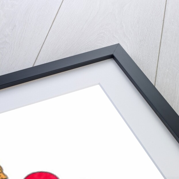 Boxer by Daisy de Villeneuve