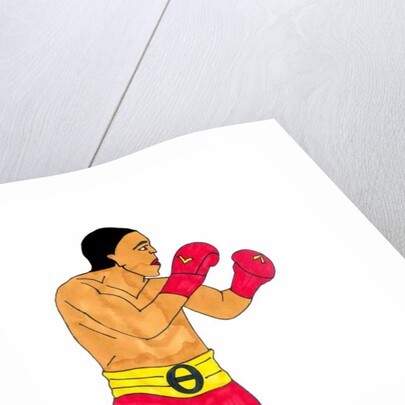 Boxer by Daisy de Villeneuve