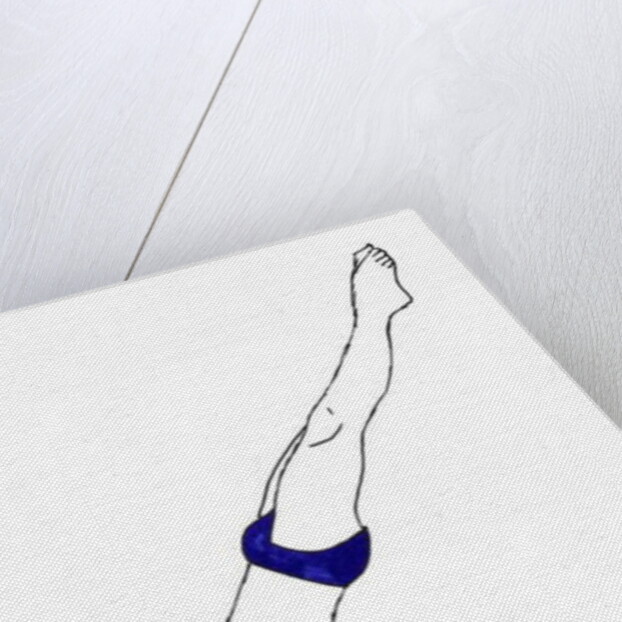 Diver, 2012 by Daisy de Villeneuve