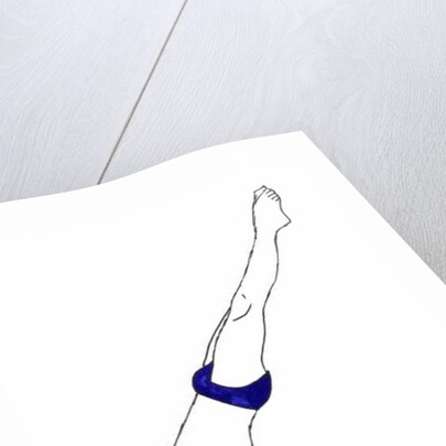 Diver, 2012 by Daisy de Villeneuve