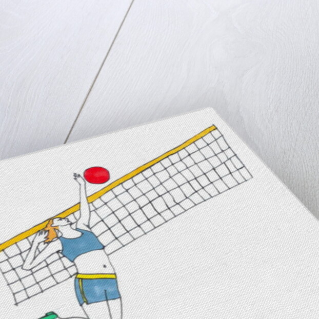 Volleyball by Daisy de Villeneuve