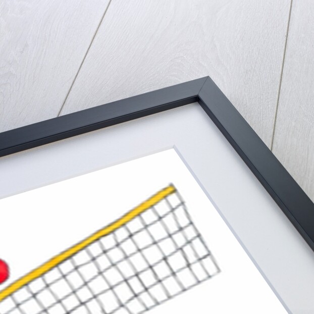 Volleyball by Daisy de Villeneuve