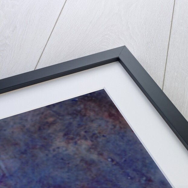 Window by Jane Deakin