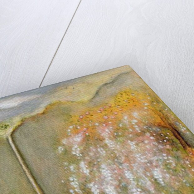 White Whisteria, 2001 by Jane Deakin