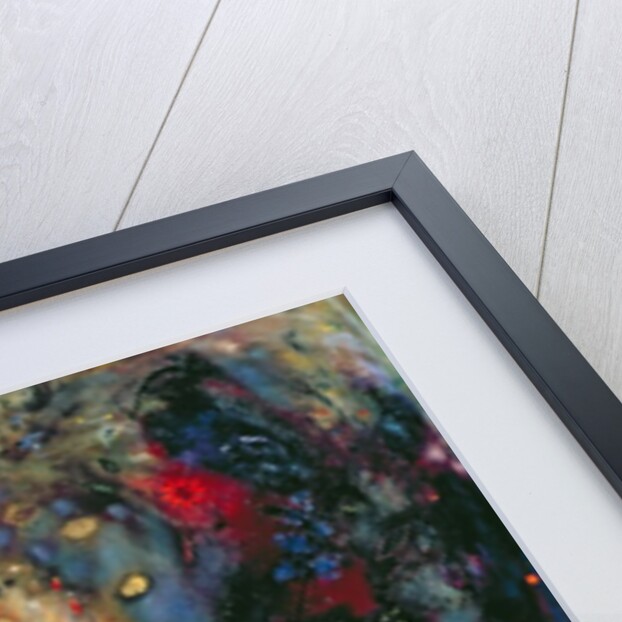 Sunflower, 2002 by Jane Deakin