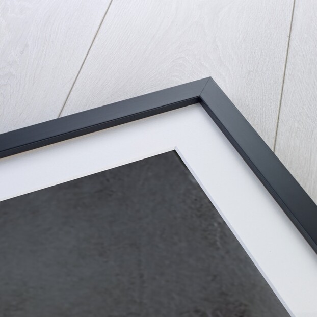 Seahorse, 1999 by Jane Deakin