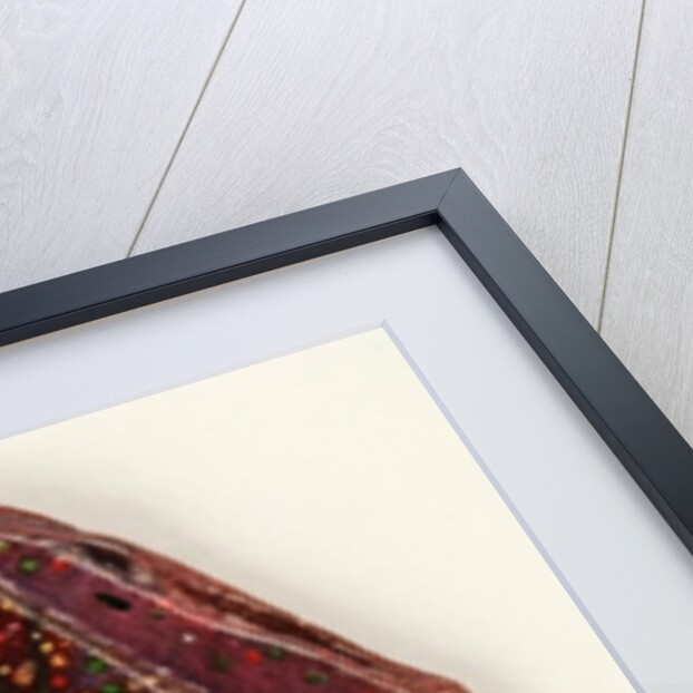 Emerald Tree, 2006 by Jane Deakin