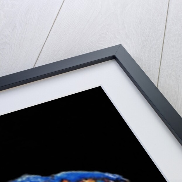 Garden of Eden, 2007 by Jane Deakin