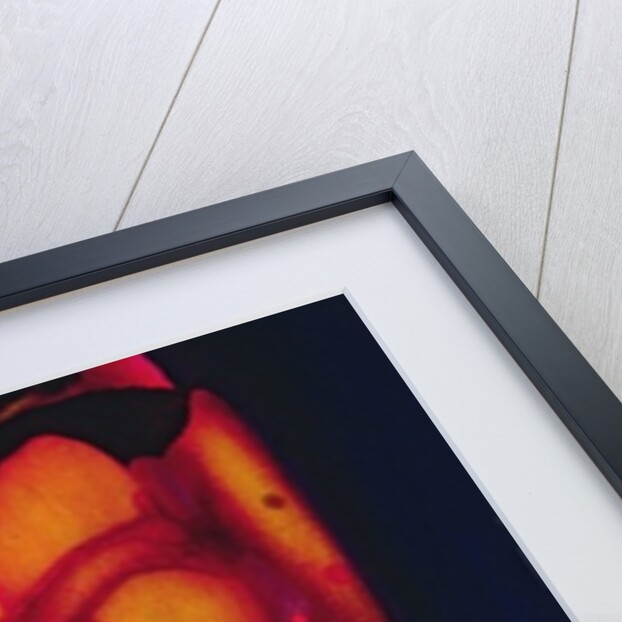 Heart by Jane Deakin