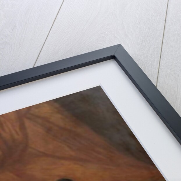 Felice de Giardini by John Francis Rigaud