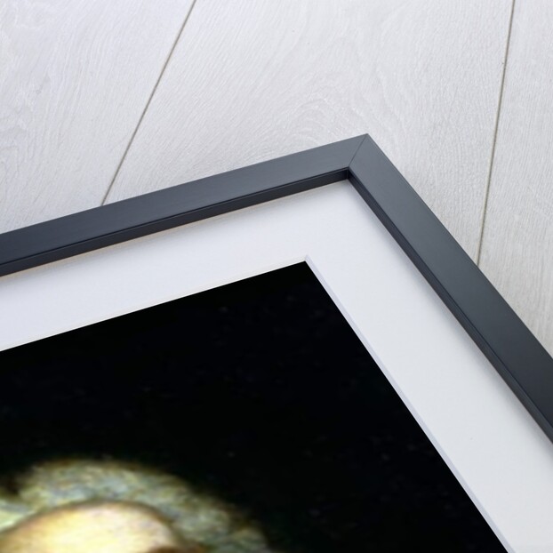 Portrait of George Frederick Handel with a copy of the Messiah, c.1749 by English School