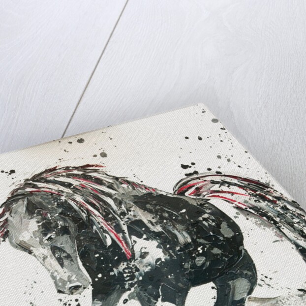 Capriccio, 2014 by Penny Warden