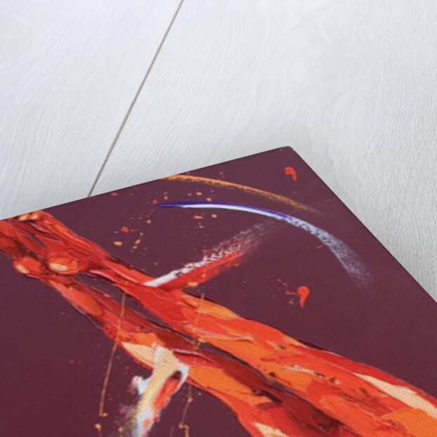 Gymnast Seven, 2011 by Penny Warden