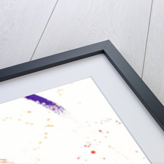 Gymnast Three, 2010 by Penny Warden