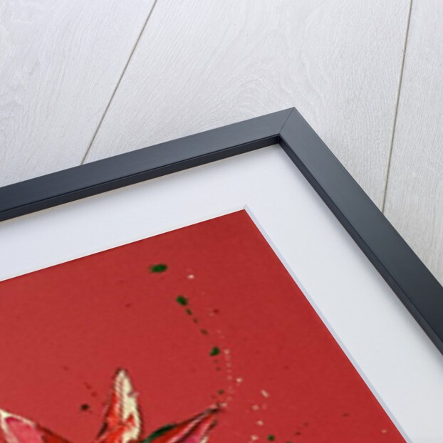 Flower, 2011 by Penny Warden