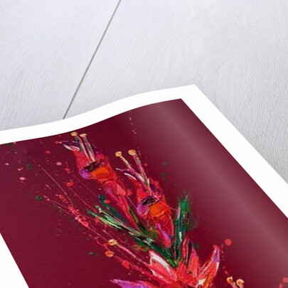 Flower, 2011 by Penny Warden